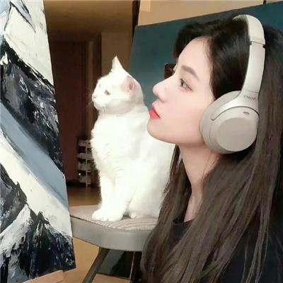 激情伴侣